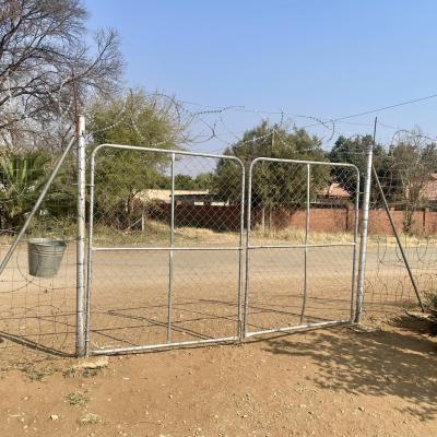 538985221 1287827026377840 1979572956060876849 N